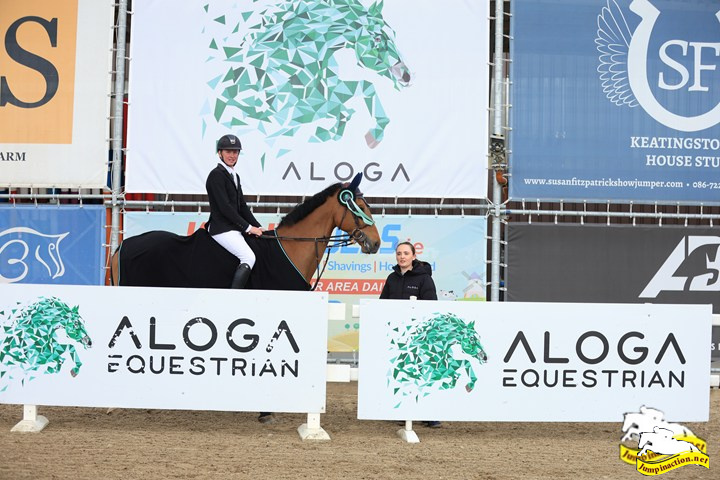 Cooley fence on the grass arena